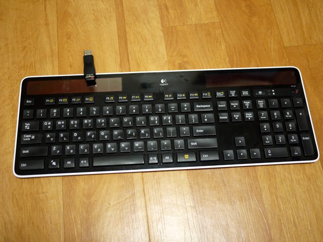 P1010653.jpg