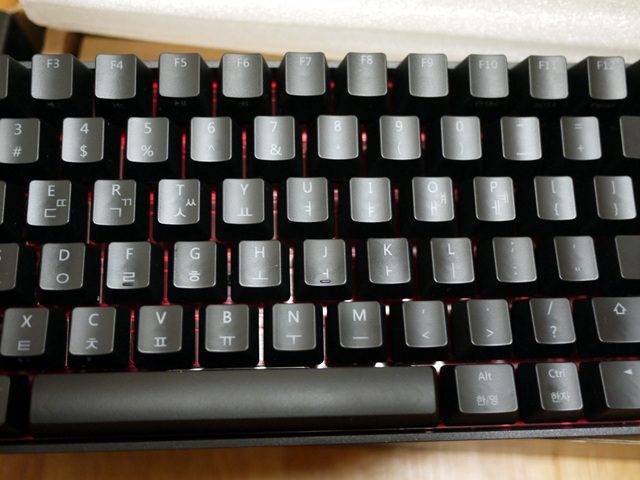 P1010659.jpg