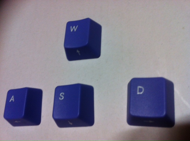 bora_wasd.jpg