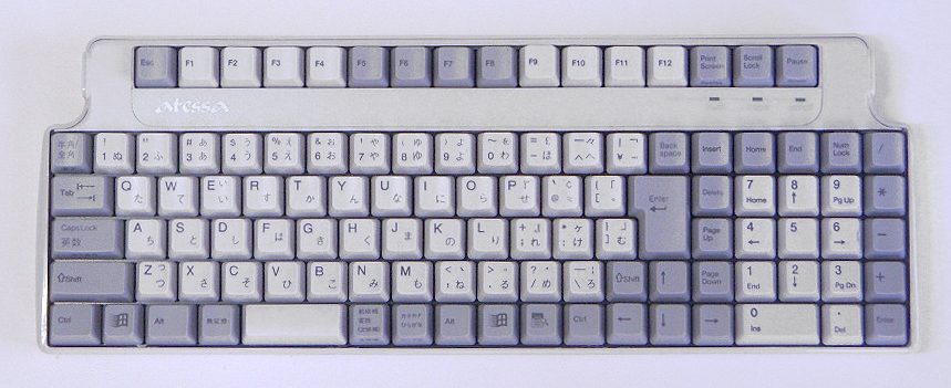 02.jpg
