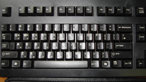 SDC11176___1.JPG