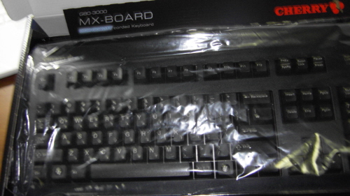 SDC11179_1.JPG
