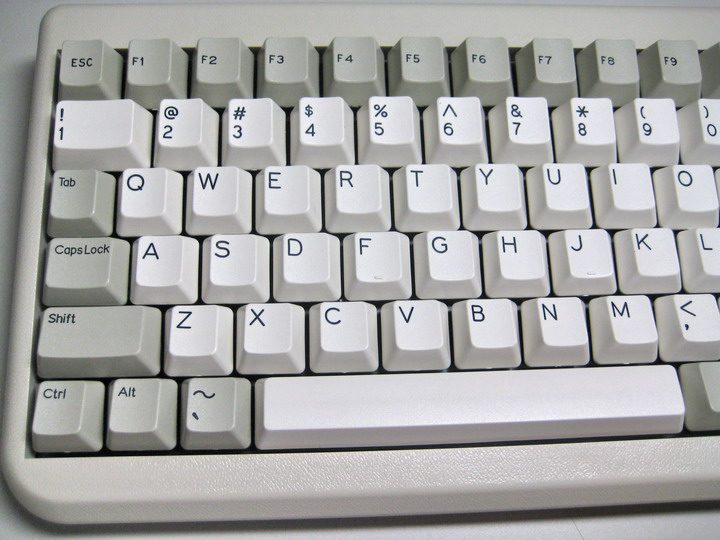 IMG_1177.jpg