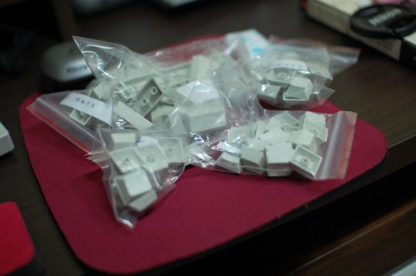 re_DSC_0042.JPG