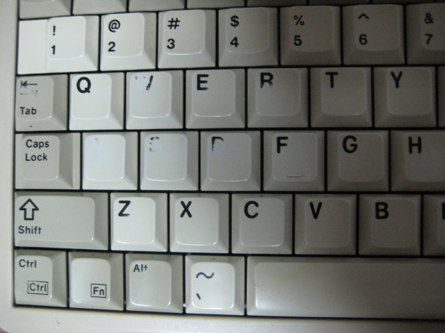 IMG_1976.jpg