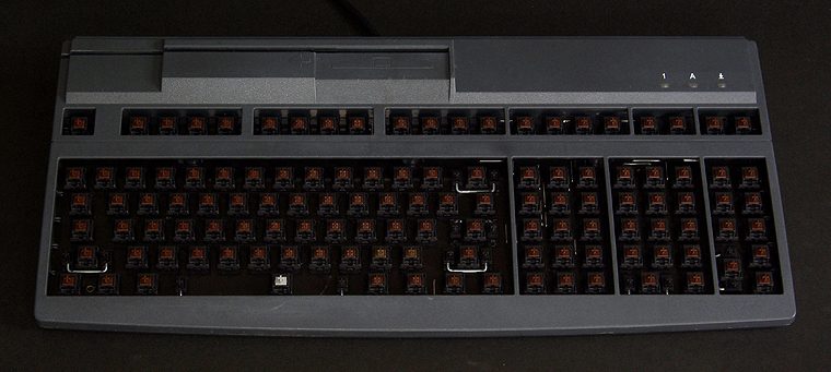 01.jpg