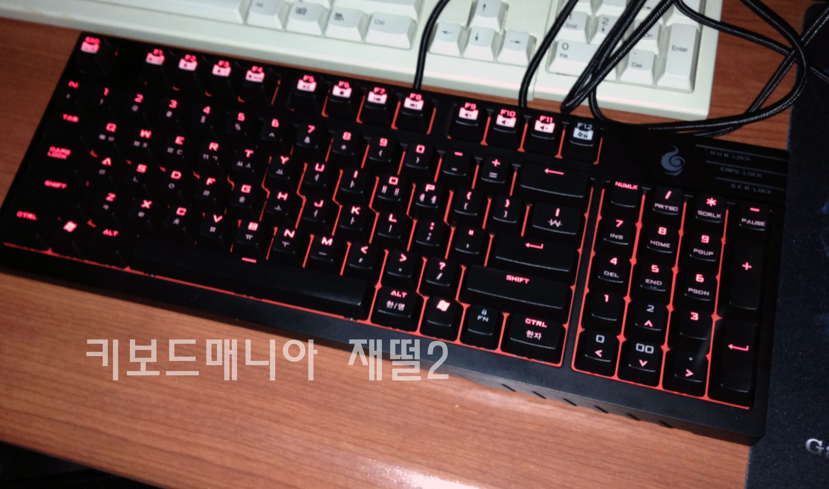 IMG_0516.jpg : 쿨마 CM STORM QUICK FIRE PRO 적축 -> 청축or 갈축 교환 IMG_0516.jpg : 쿨마 CM STORM QUICK FIRE PRO 적축 -> 청축or 갈축 교환