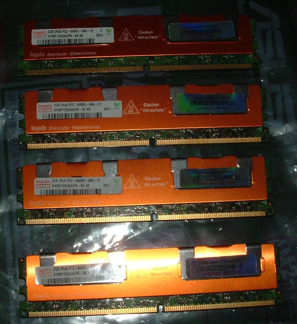 ram.jpg