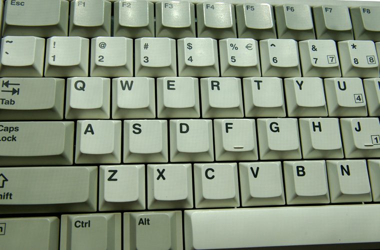 IMGP4456_.jpg