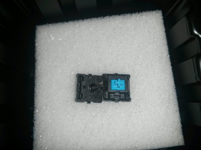 CAM00917.jpg