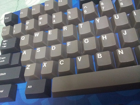 돌치2.jpg : 몇가지 정리합니다 ~~ 돌치2.jpg : 몇가지 정리합니다 ~~