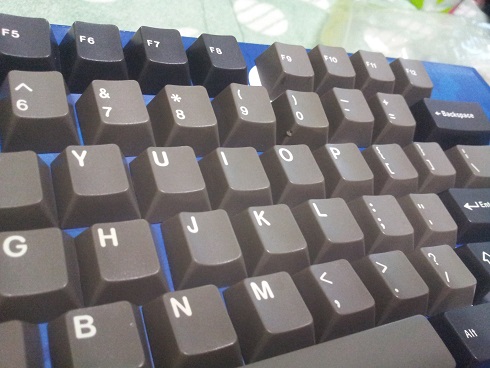 돌치3.jpg : 몇가지 정리합니다 ~~ 돌치3.jpg : 몇가지 정리합니다 ~~