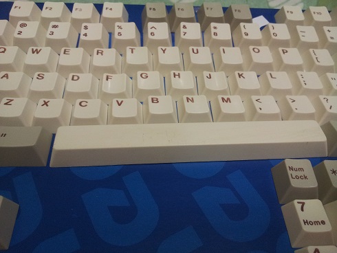 초코승화3.jpg : 몇가지 정리합니다 ~~ 초코승화3.jpg : 몇가지 정리합니다 ~~