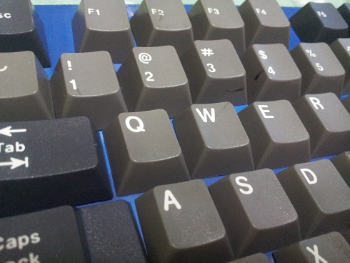 돌치1.jpg : 몇가지 정리합니다 ~~ 돌치1.jpg : 몇가지 정리합니다 ~~