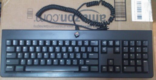 IMAG0020.jpg