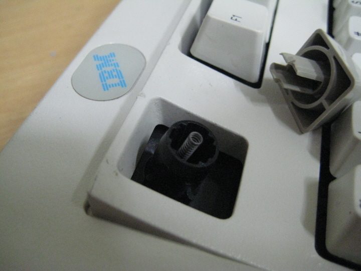 resizeIMG_2203.jpg