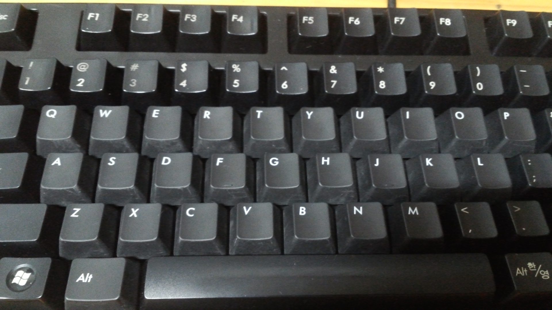 20130814_1515056.jpg : 마제1 갈축 전투용 팝니다.