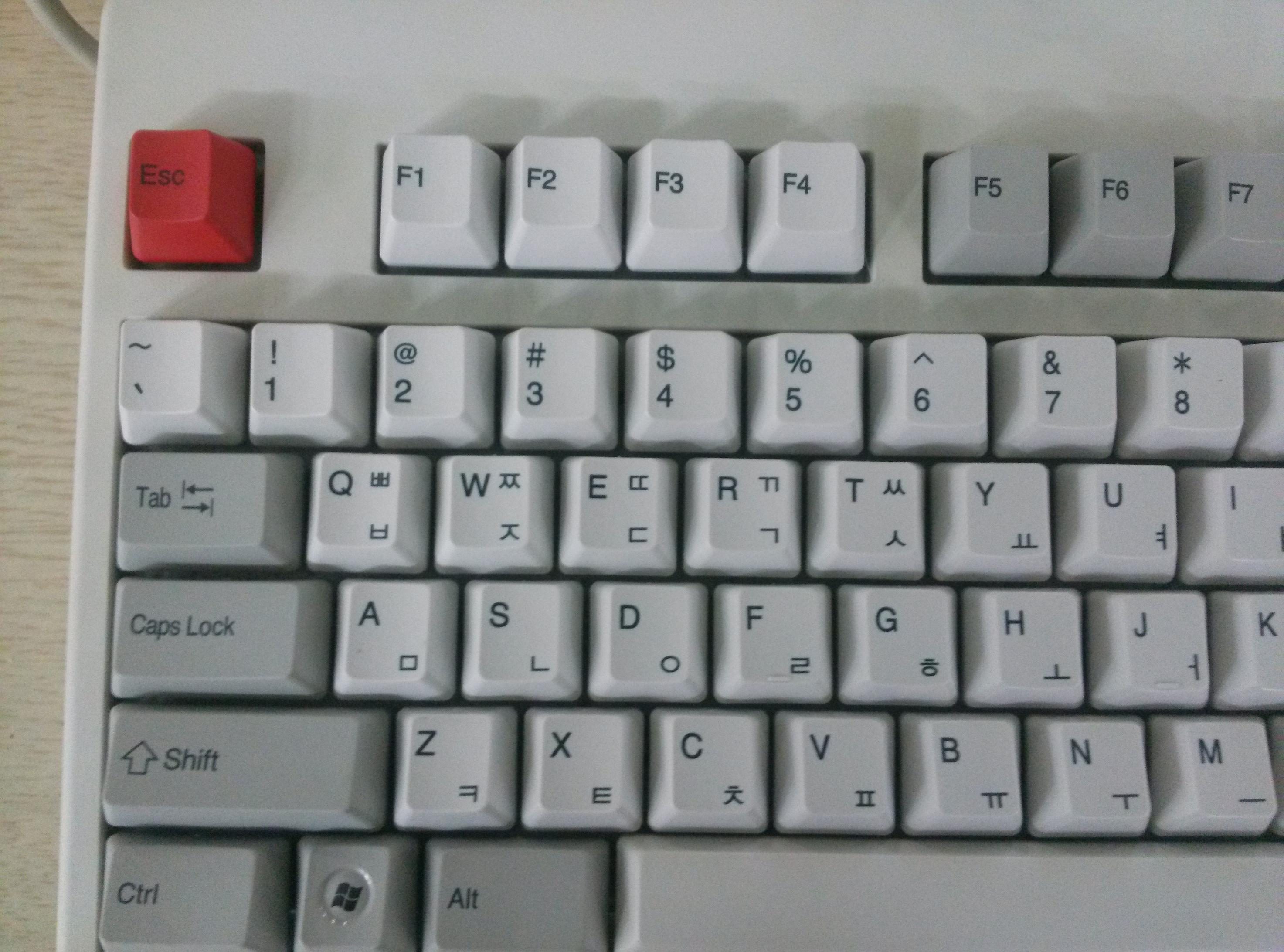 CAM00022.jpg