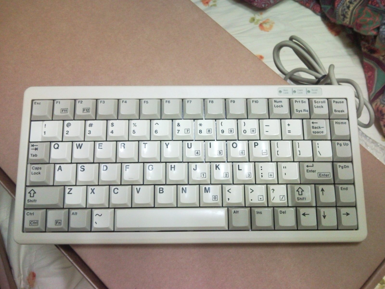 SNC00055.jpg