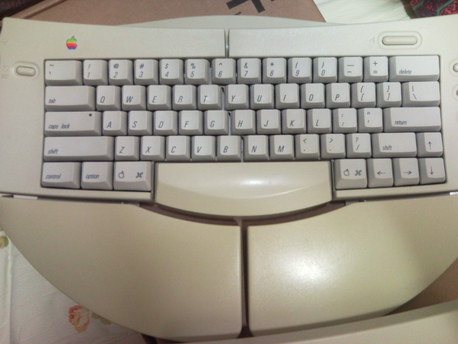 SNC00068.jpg