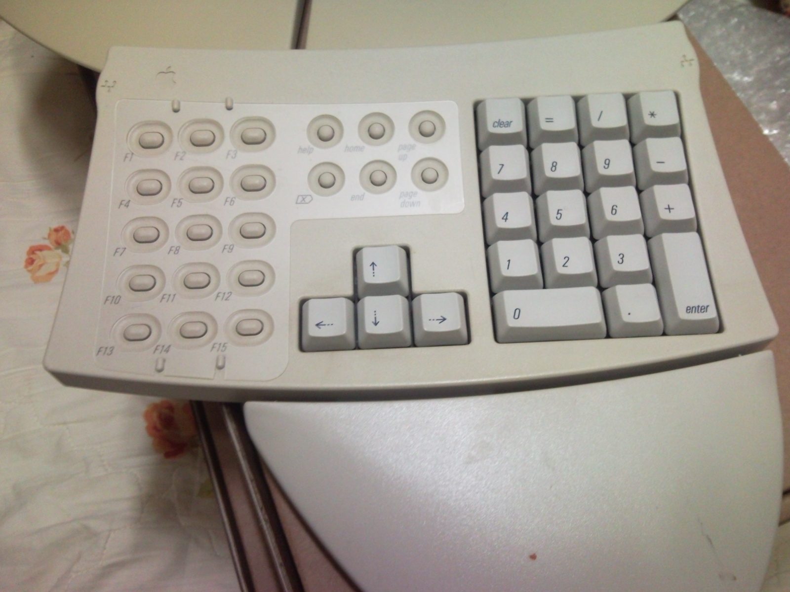 SNC00070.jpg