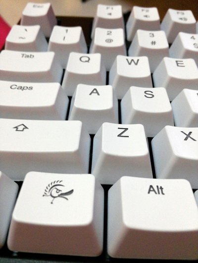 ducky white keycap.jpg