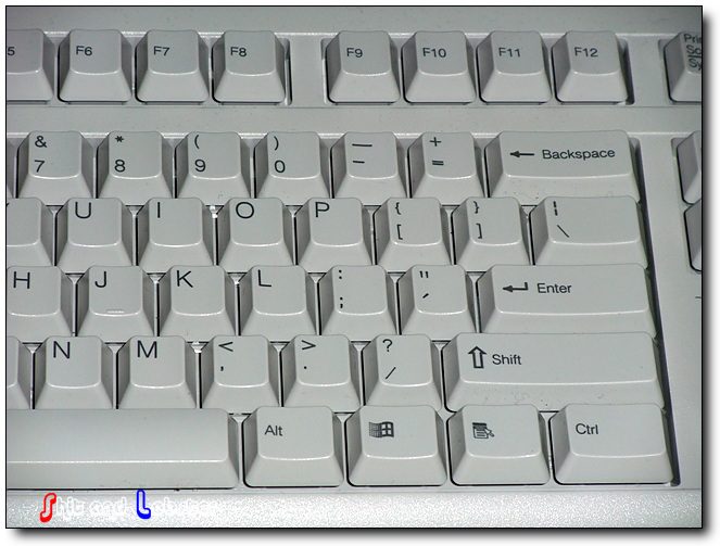 DSCF0659.jpg