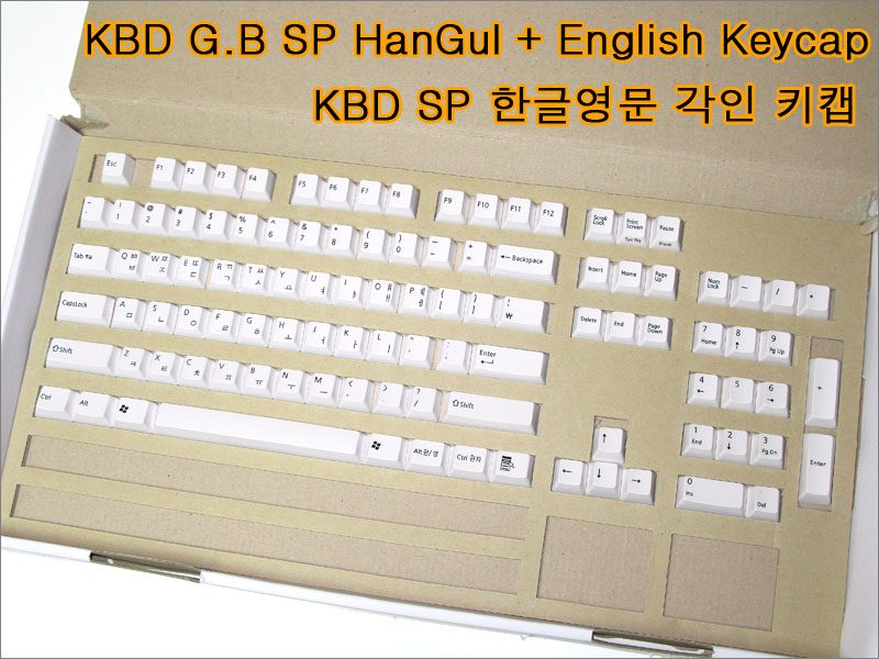 zh5HKBO.jpg