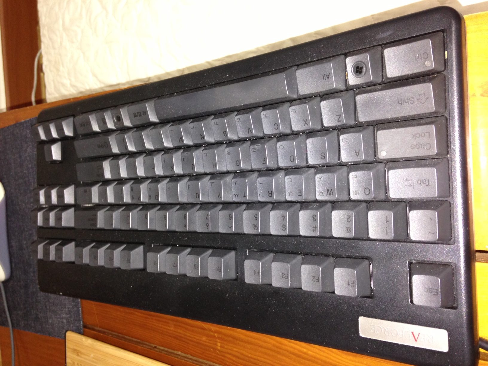 photo 5.JPG : Realforce87 저소음 차등 영문+한글 블랙