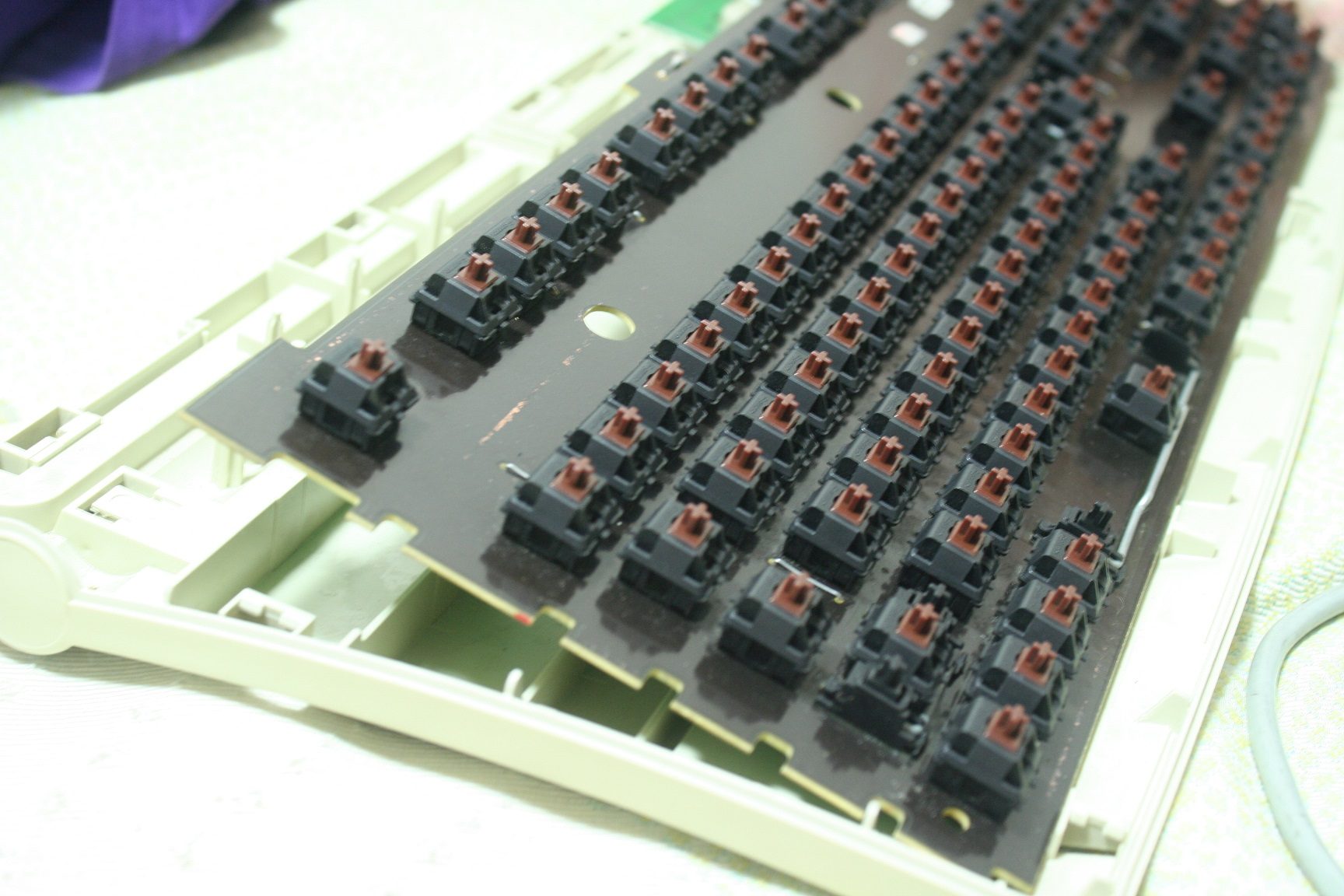 3731599443_684861e6_IMG_1944.jpg