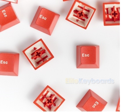ESC Red 1.jpg