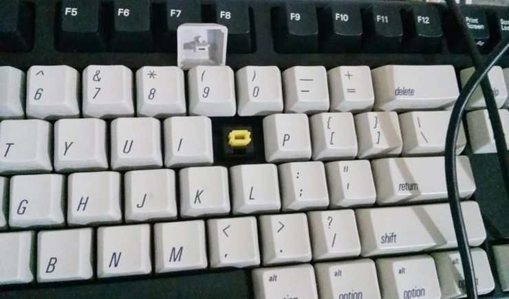 CAM00084-crop.jpg