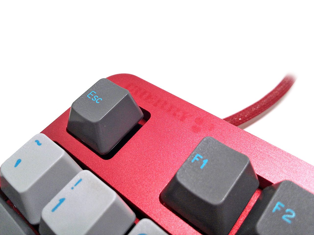 CAM00555.jpg