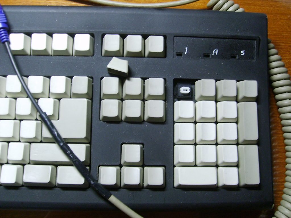 S6002279.JPG