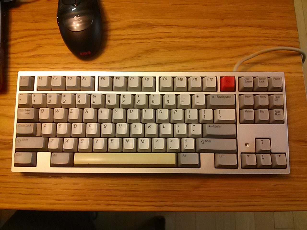 CAM00252.jpg