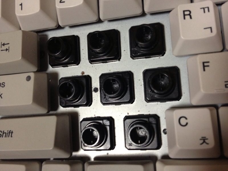 RS_photo_3.jpg