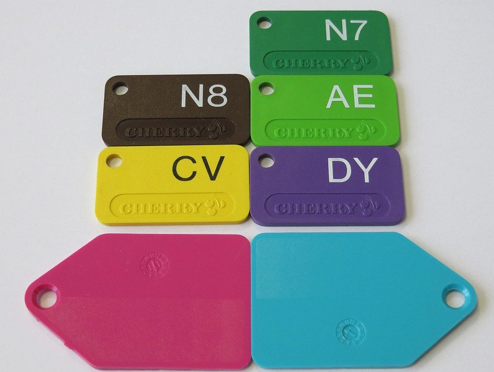 6. color chip.jpg
