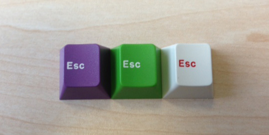 ESCset.jpg