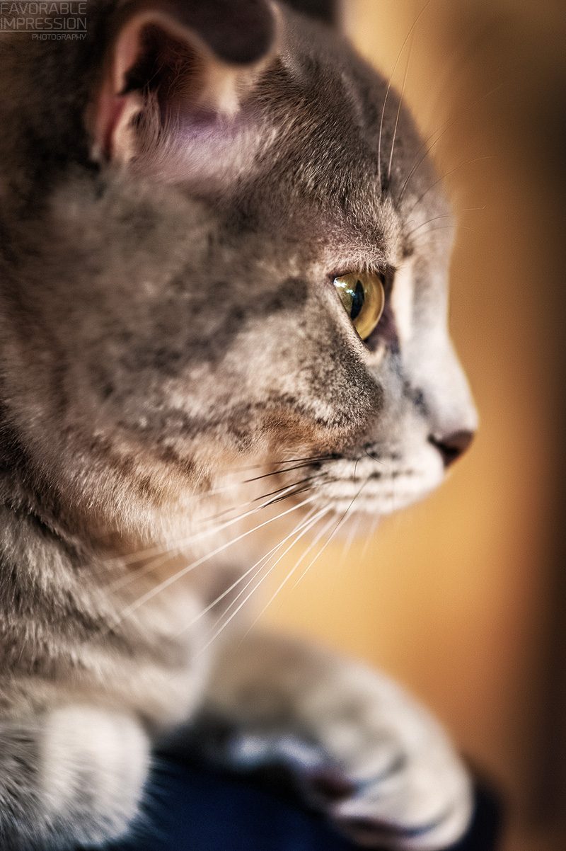 DSC_9297.jpg