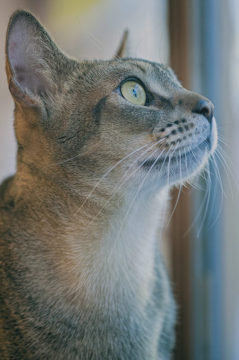 DSC_6499.jpg