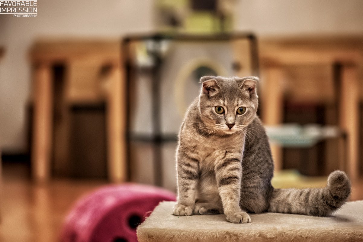 DSC_9074.jpg