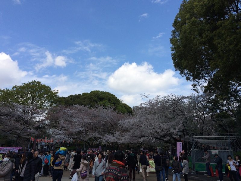 2014-04-06 11.07.43.jpg