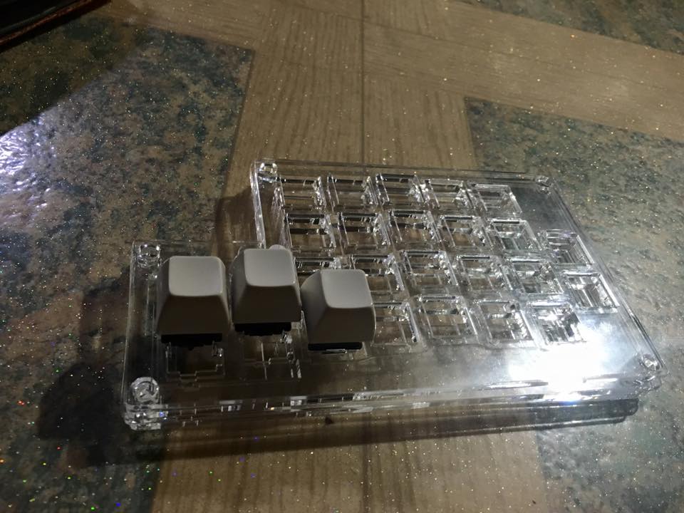 12743825_1250876238260408_6656869717393053853_n.jpg