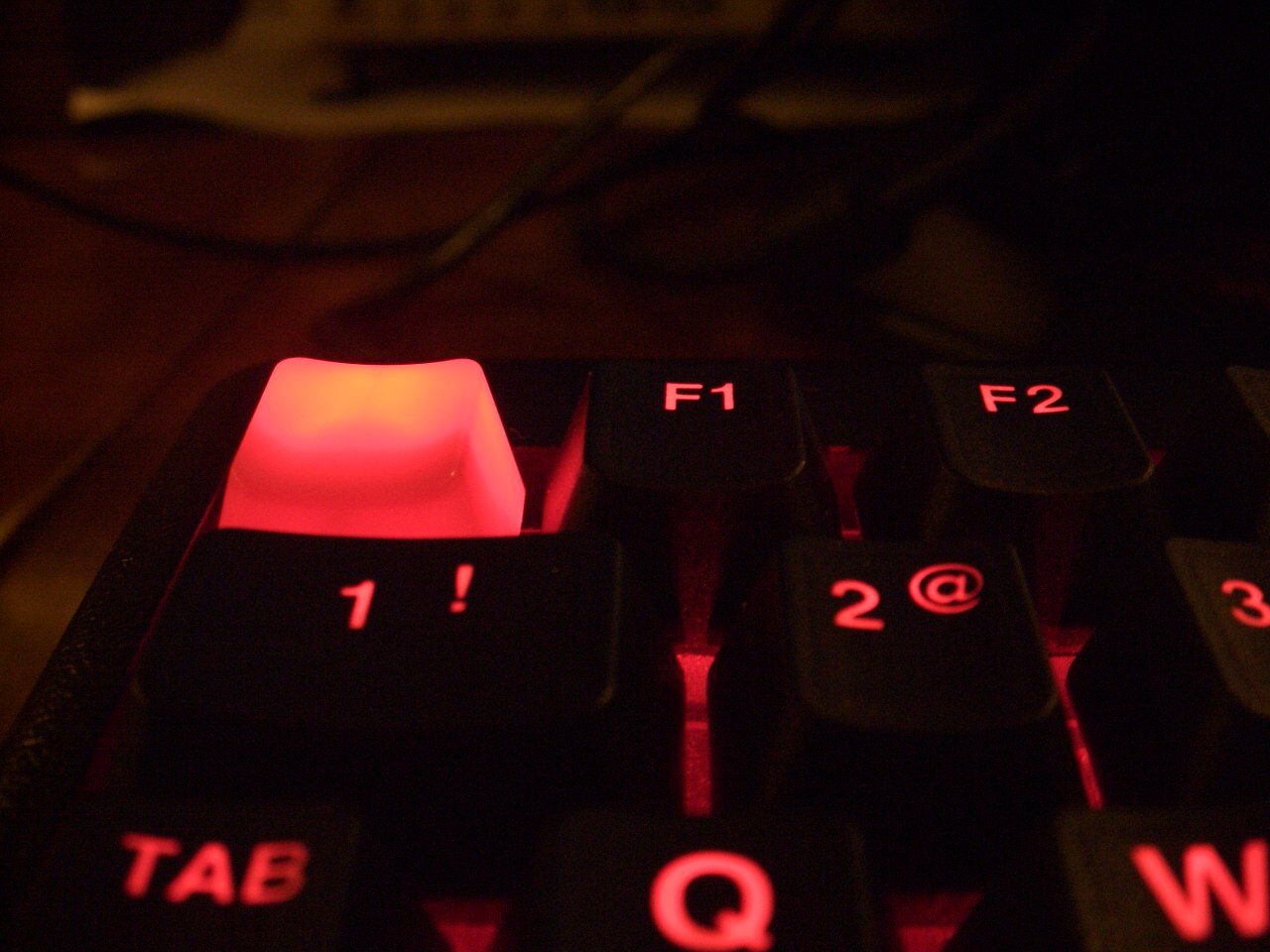 20100514 33.JPG