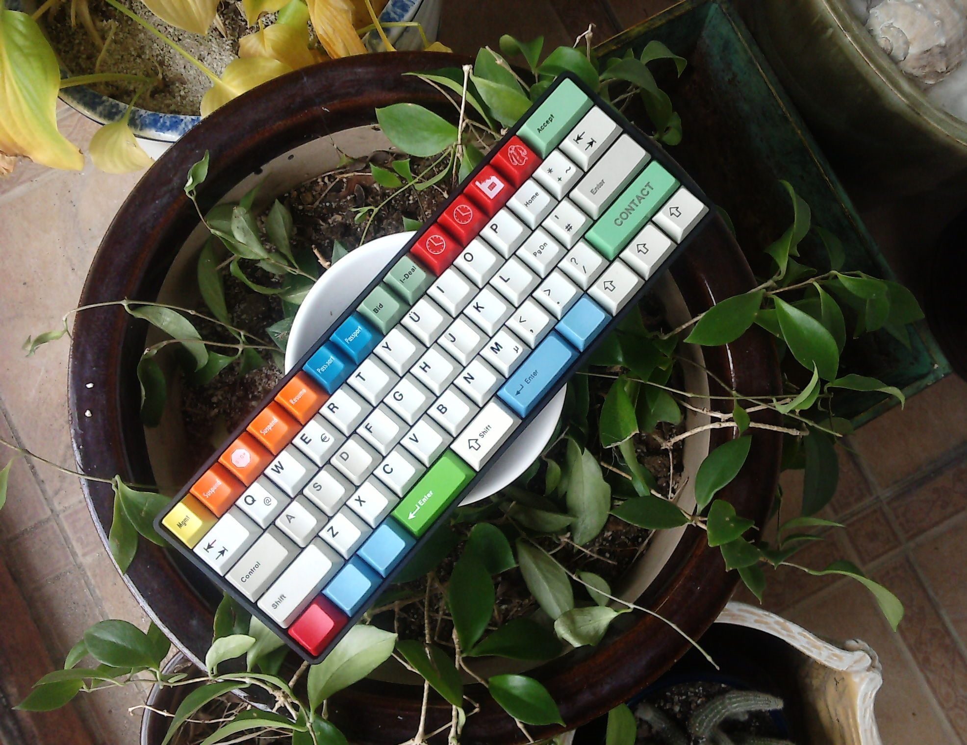 60%  155.jpg
