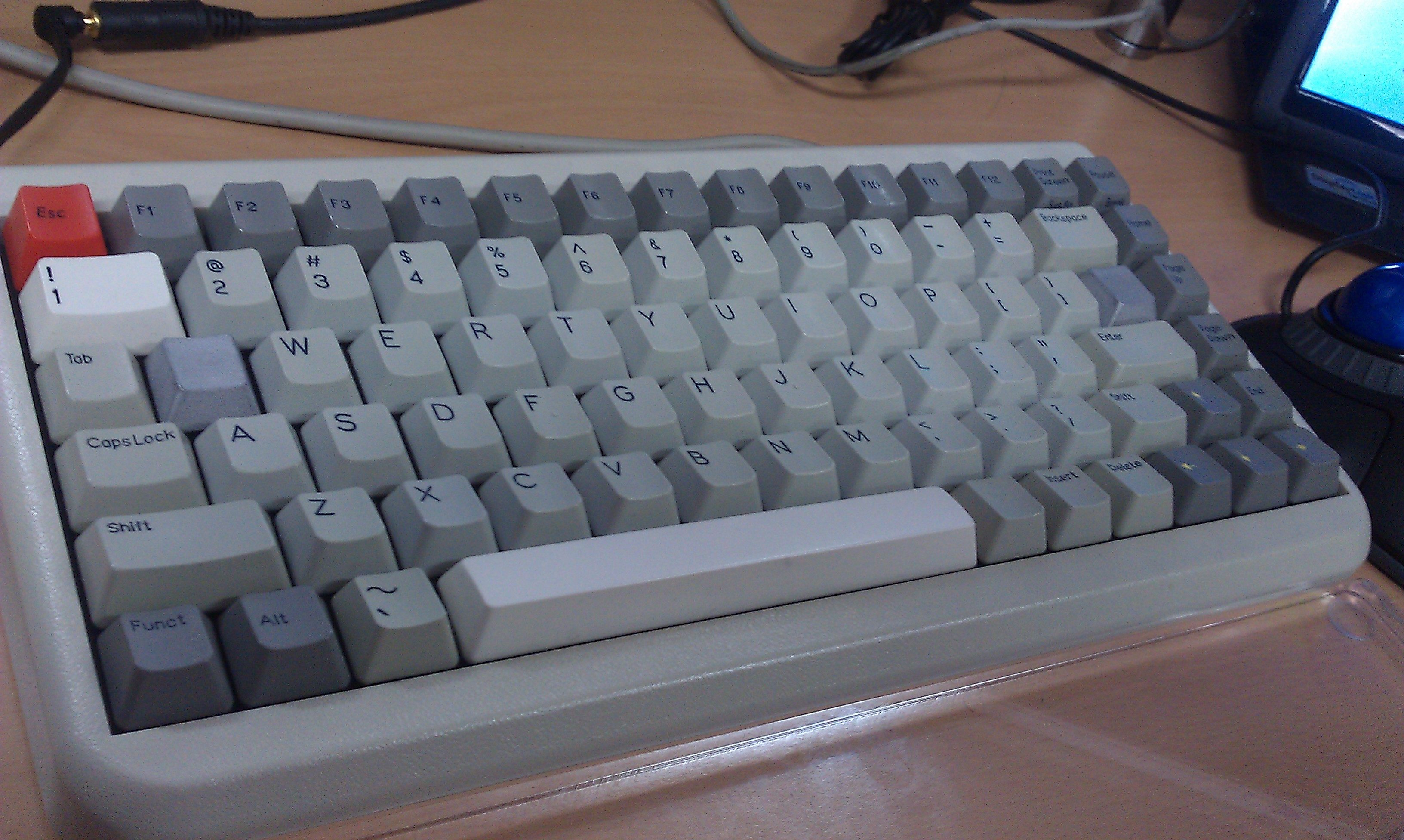 IMAG0010.jpg