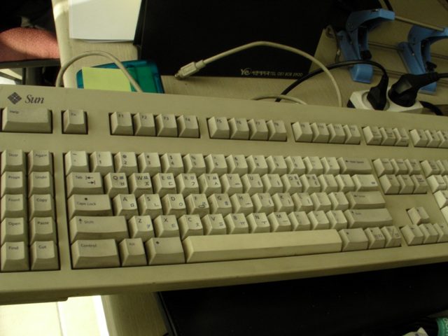 SANY2342.jpg