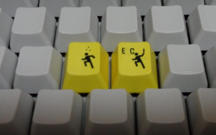 2c.jpg