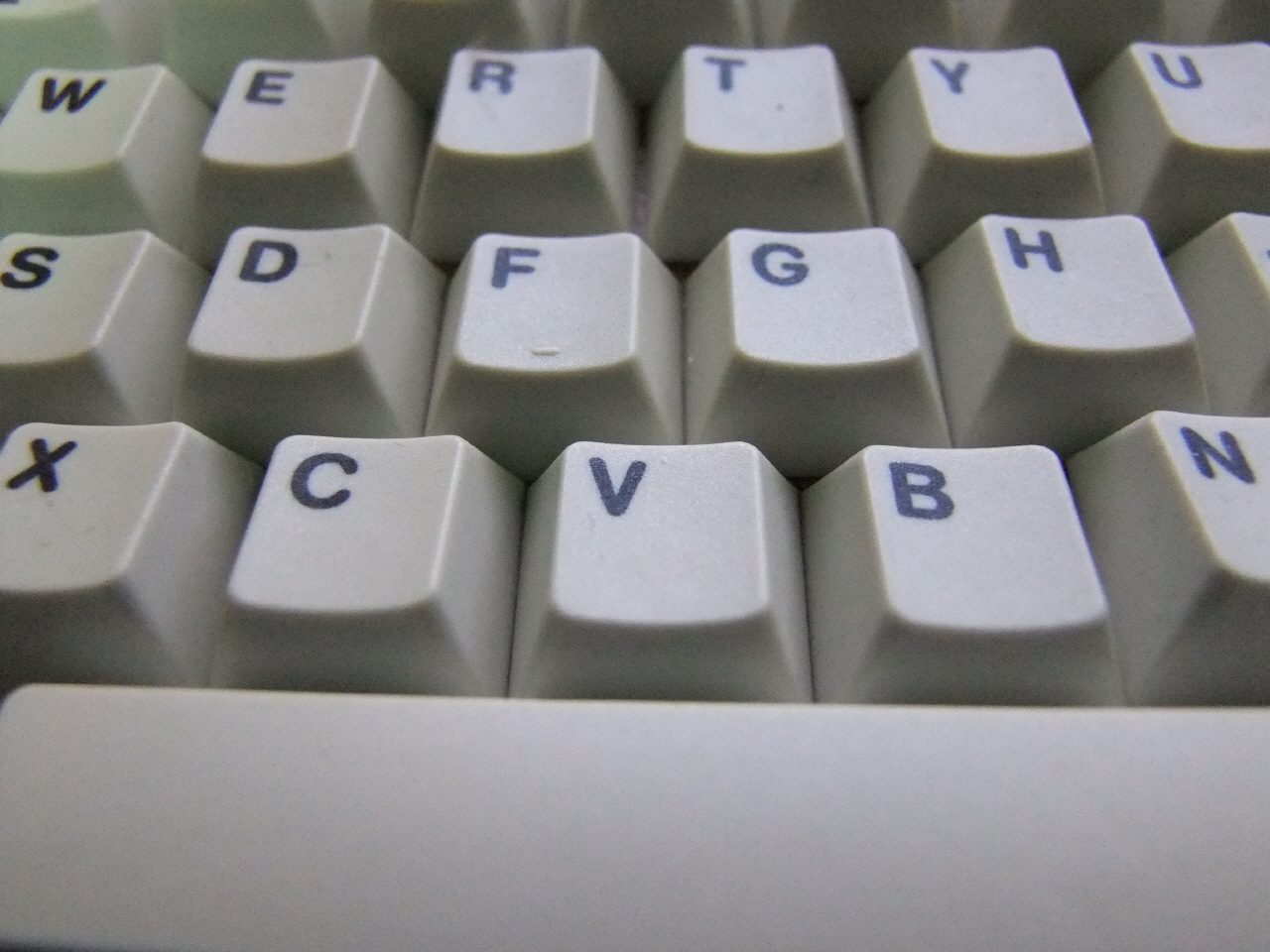 DSCF4941.JPG