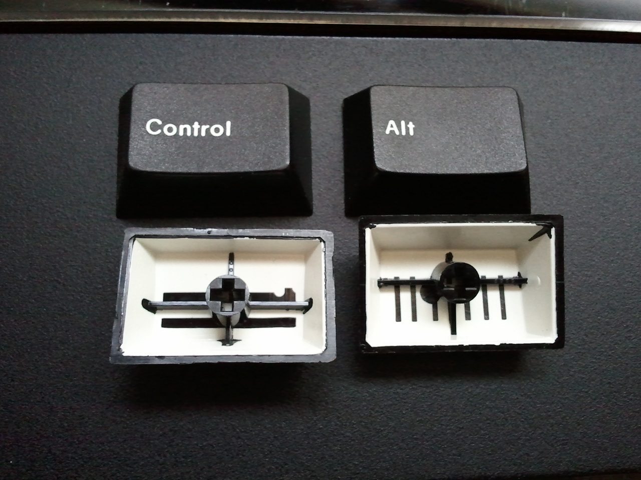 2011-02-19 12.47.25.jpg